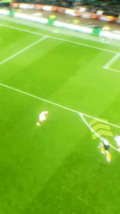 英超官方解析库尼亚世界波绝杀：谢什科斜向跑动拉开空间